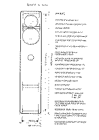 Maryl5.gif (112360 byte)