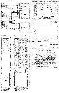 Devon-2.gif (83937 byte)