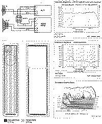 Norfol-2.gif (74485 byte)