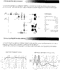 Chant-2.gif (58589 byte)