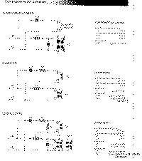Av-2.gif (40278 byte)