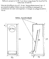 Zainiprg.gif (73185 byte)