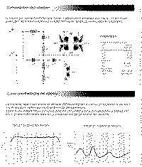 Areth-2.gif (60535 byte)