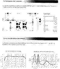 Brenda-2.gif (52604 byte)