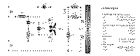 Ether2.gif (31397 byte)