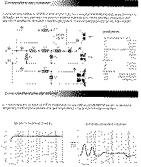 Sophie-2.gif (57289 byte)