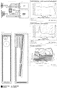 Lin166-2.gif (80860 byte)