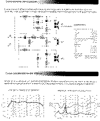Nausic-2.gif (57861 byte)