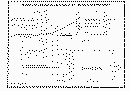 Gy50Sep3.gif (59116 byte)
