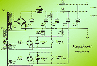 TriopreAli.gif (92521 byte)