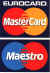 Masterc.jpg (39477 byte)